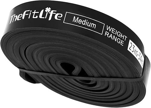 TheFitLife Bandas de asistencia para dominadas, bandas de resistencia para entrenamiento, bandas largas de entrenamiento para ejercicio, banda de