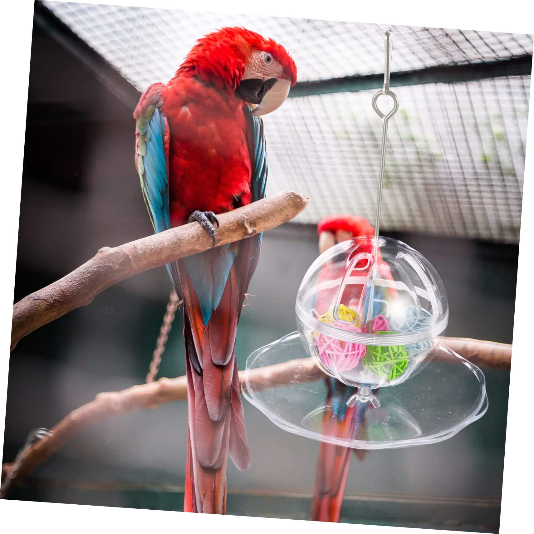 BESPORTBLE 2sets Mangiatoia Per Pappagalli Con Pallina Da Foraggio Accessori Per Uccelli Facile Da Installare Per Macaw e Cockatiel Sicuro e Salubre Gioco e Nutrimento Per Tuoi Volatili