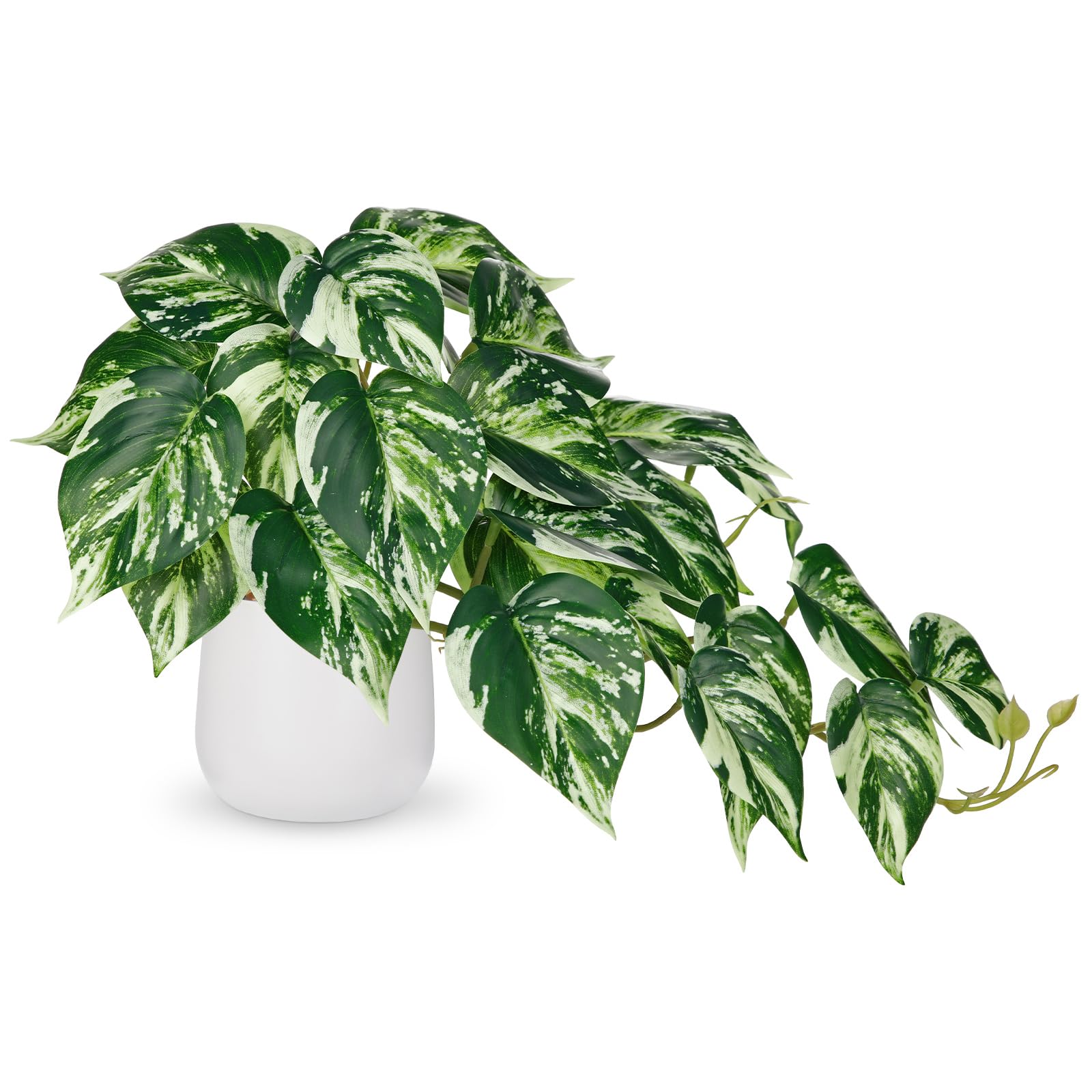 Hollyone Artificial Plants in Ceramic Pots, Fake Jade Pothos Decorative Faux Potted Plants, Realistic House Plant Indoor for Home Décor, Bathroom, Living Room, Kitchen, Shelf, Office Decorations — image 1
