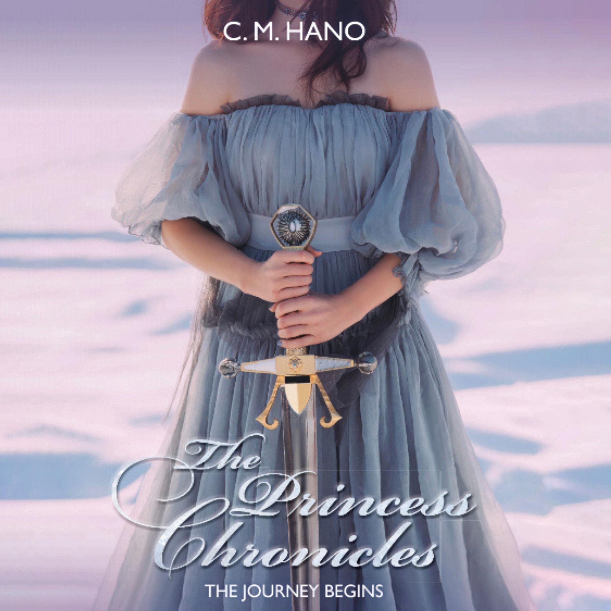 Cover art for The Princess Chronicles: The Journey Begins