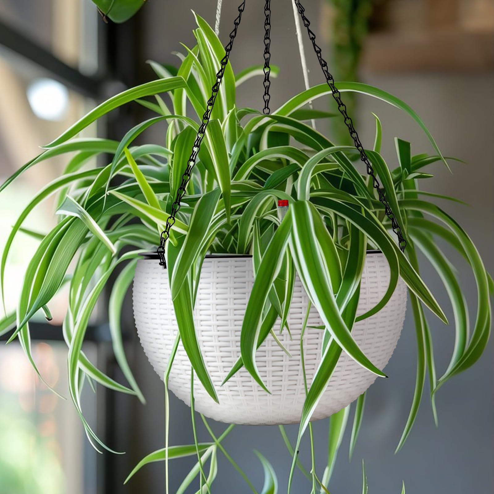 CPROSP 2tlg 28cm Selbstbewässerungstopf Hängend mit Wasserstandsanzeigen, Selbstwässernder Blumentopf, Blumenampel, Hängeblumentöpfe mit Drainagelöchern, Blumentopf Wasserspeicher mit Topf System