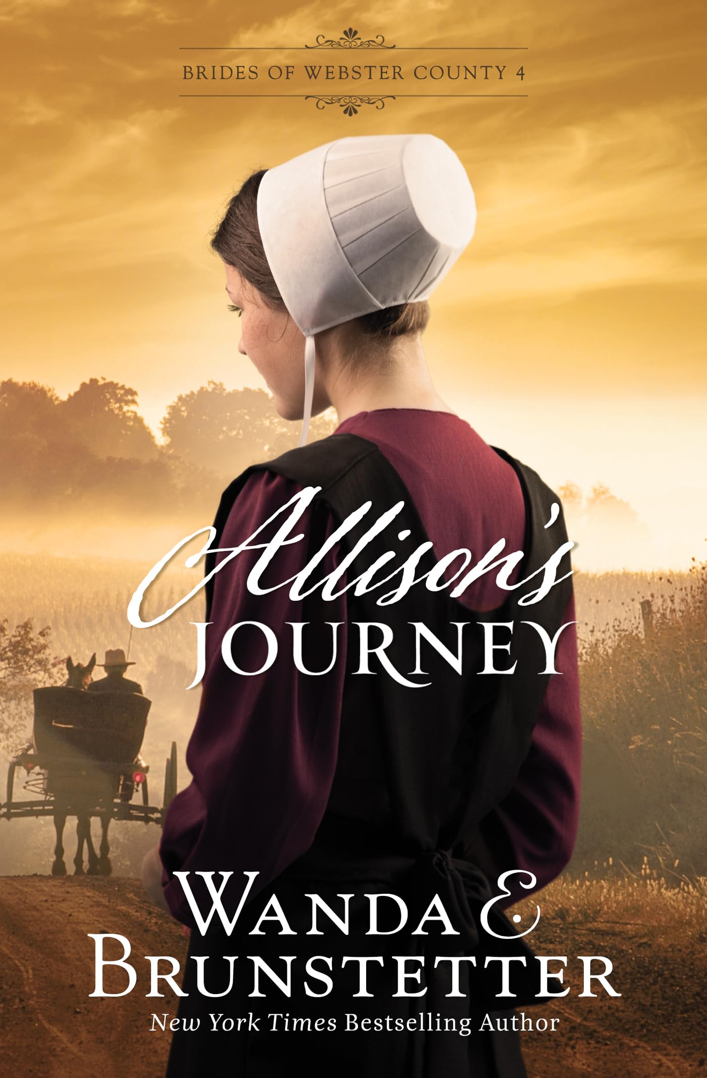 Allison's Journey: Volume 4 (Brides of Webster County)