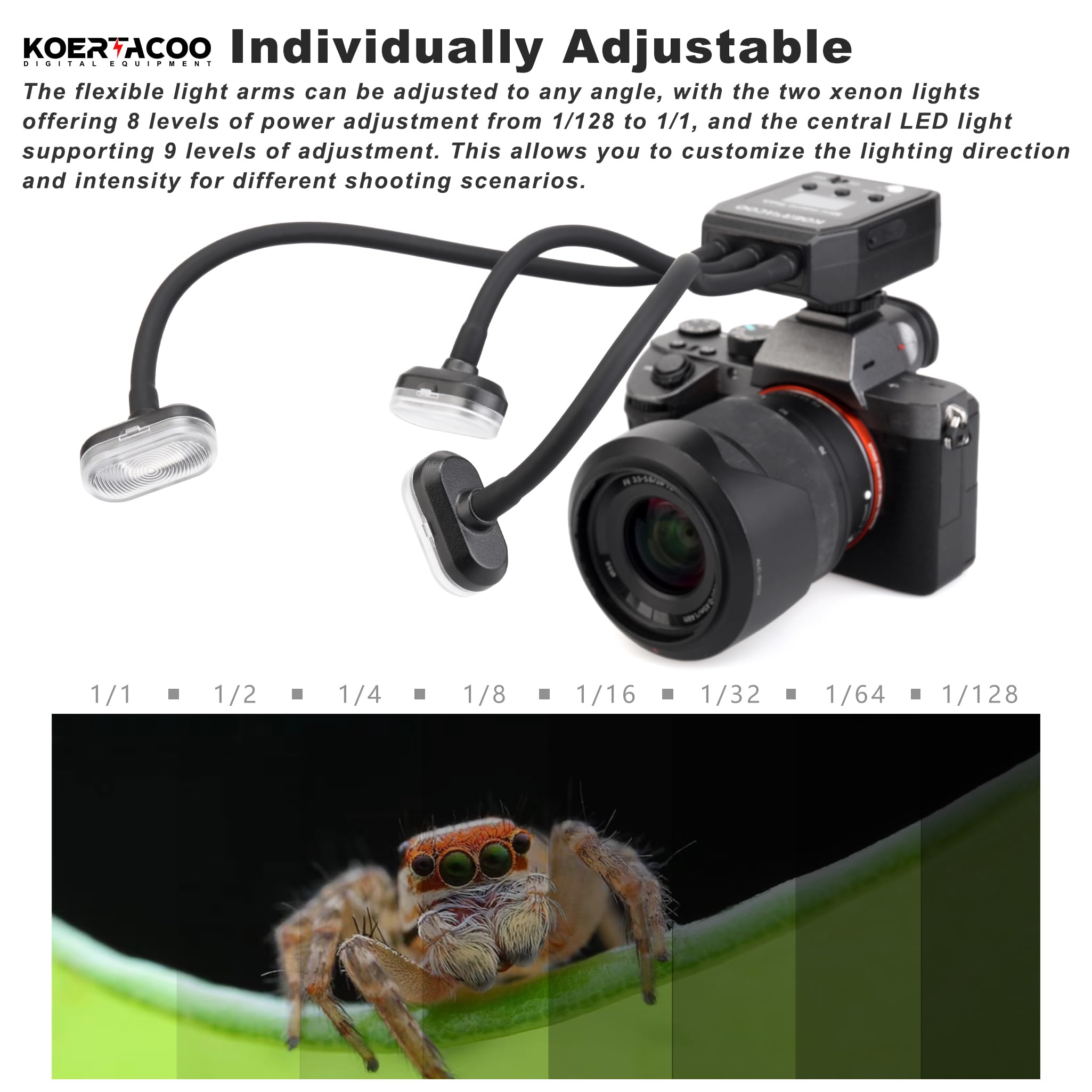 Triple-Head Macro Flash For Insect & Plant Photography - 2 Xenon Flashes + 1 LED, Adjustable Arms