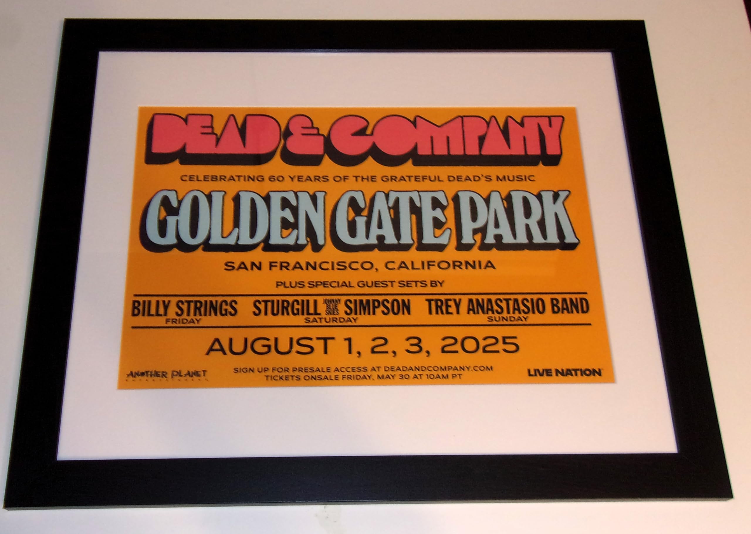 Amazon.com: FRAMED Grateful Dead 2025 San Francisco (Golden Gate