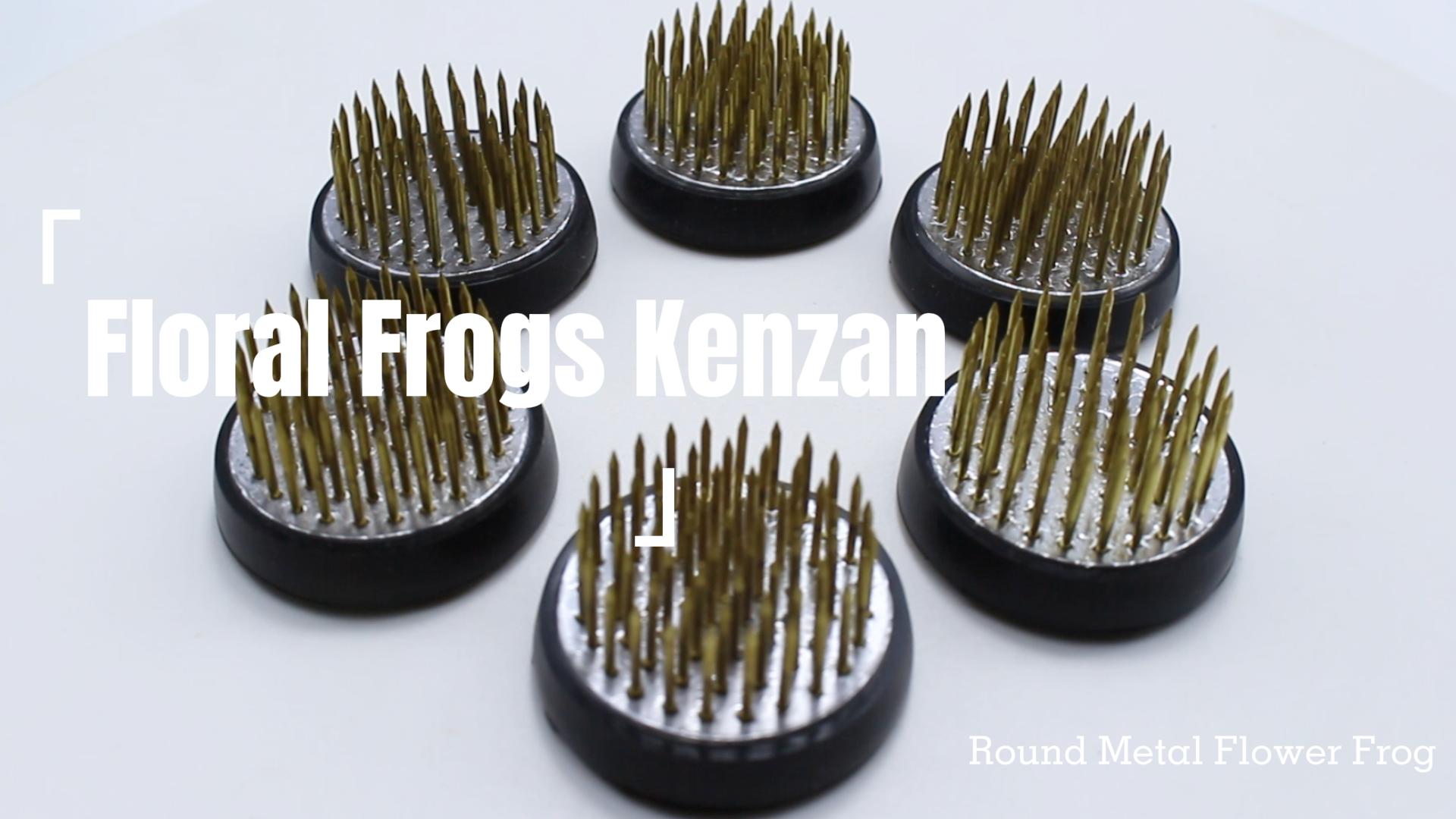 Amazon.com: Round Flower Arrangers, Flower Frog Kenzan Fixed Tools