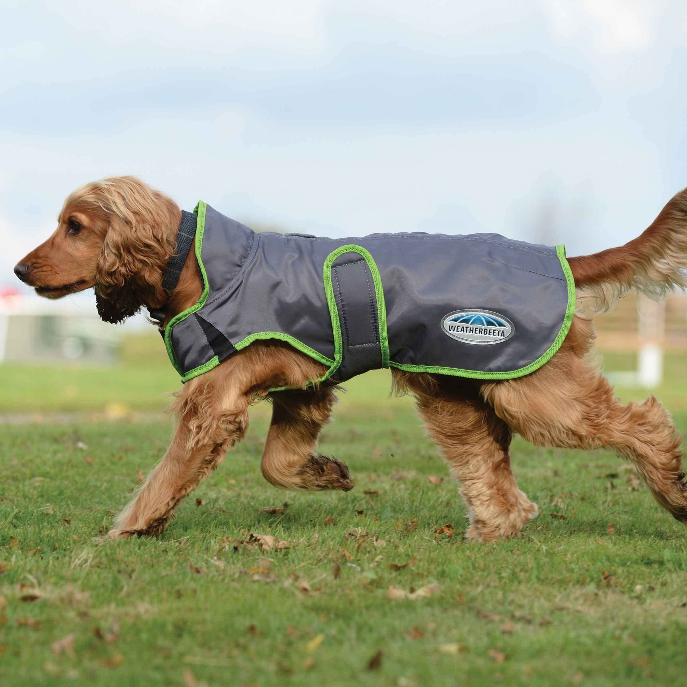 WeatherBeeta Hundemantel ComFiTec Windbreaker Free - 30 cm - Dunkelblau-Silber