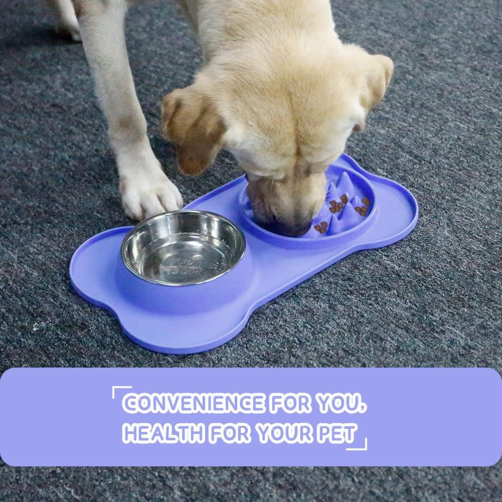 SUPERDESIGN Slow Feeder Double Bowl for Dogs and Cats, Anti-Choke Water and Food Puppy Feeder, Stainless Steel Bowl with Non-Spill Silicone Mat for Pets : Pet Supplies