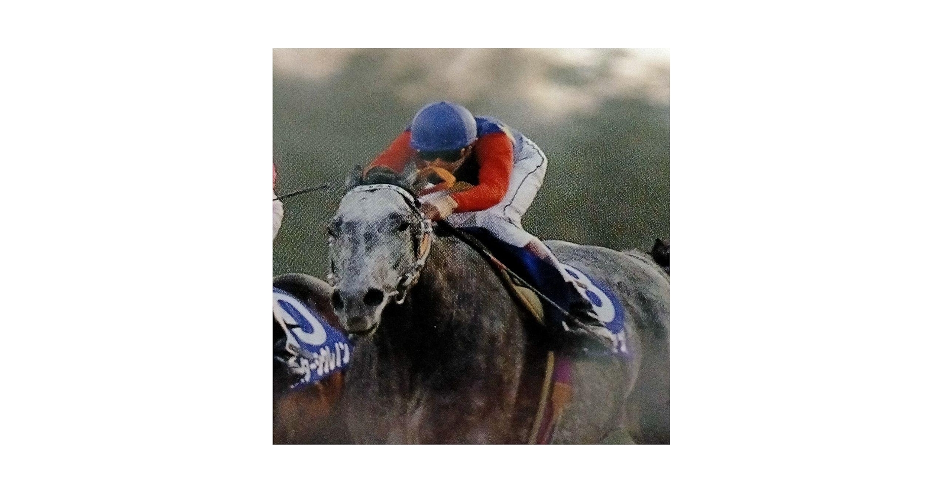 【貴重・的中】オグリキャップ　第35 回有馬記念　ラストラン Amazon.co.jp: ??。奇跡のラストラン第35回有馬記念「オグリ