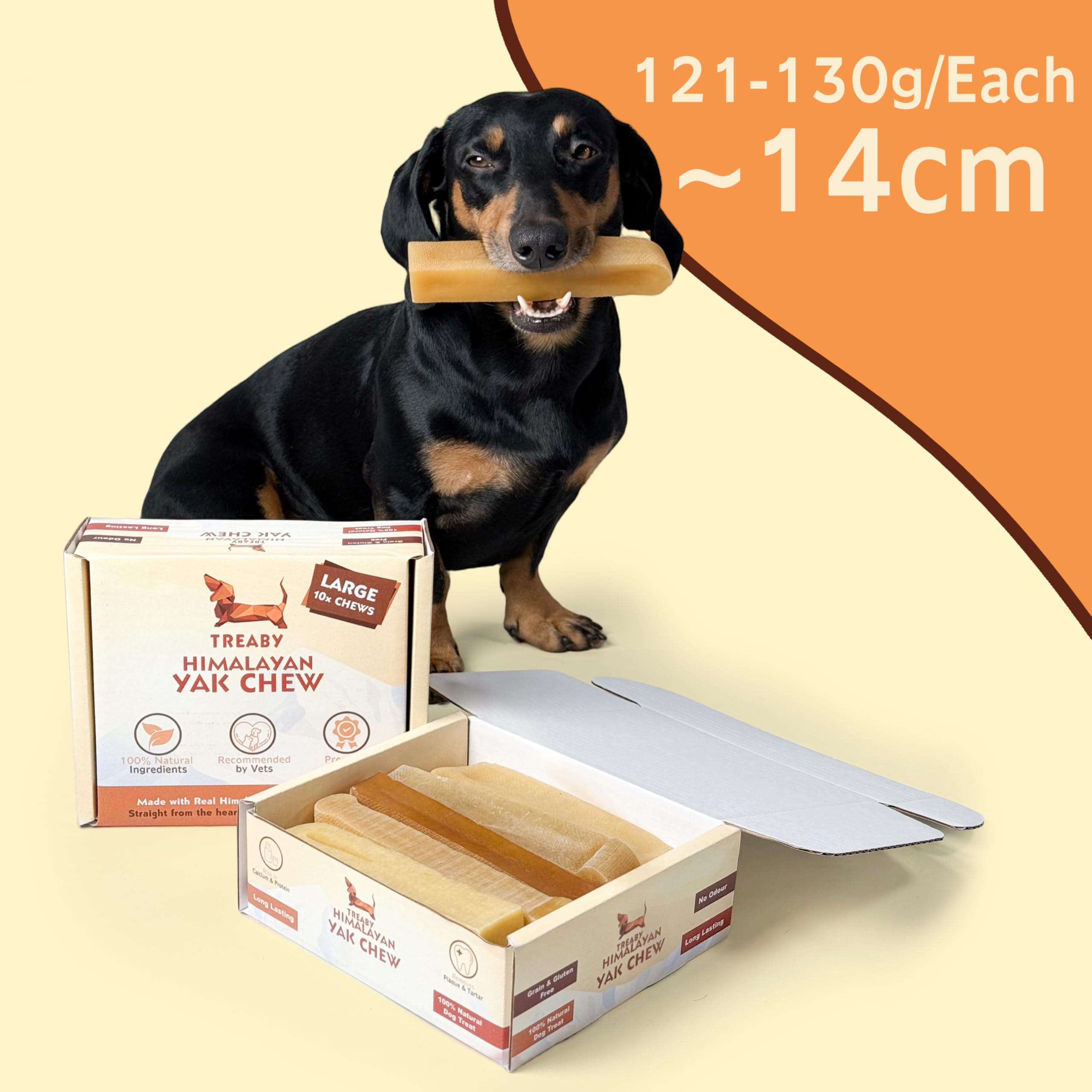 Treaby Authentic Himalayan Yak Milk Dog Chews, Box of 10 Dental Chew Sticks, Long-Lasting Natural Dog Treats, Size Large - Image 2