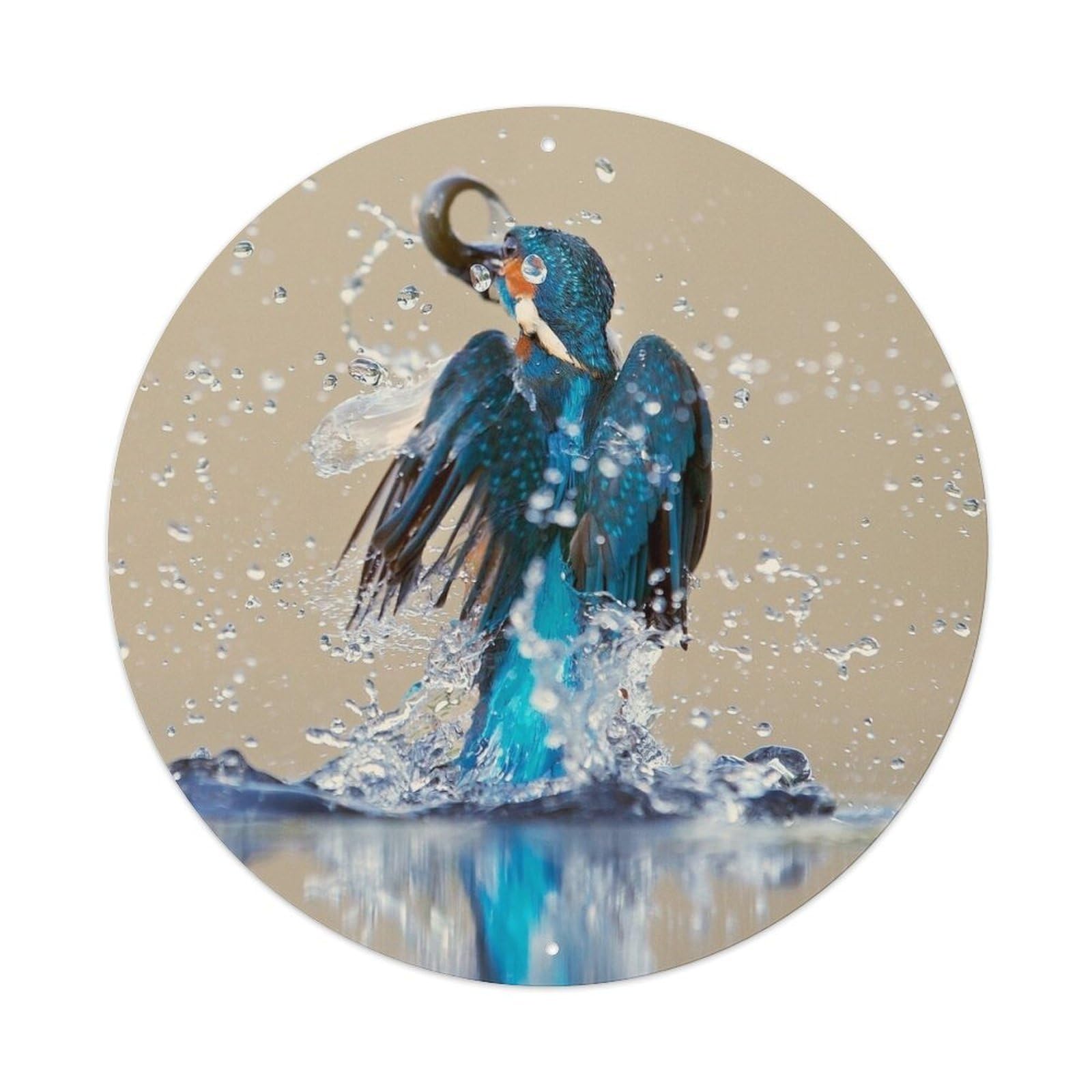 Animal Kingfisher Fishing Metal Tin Sign