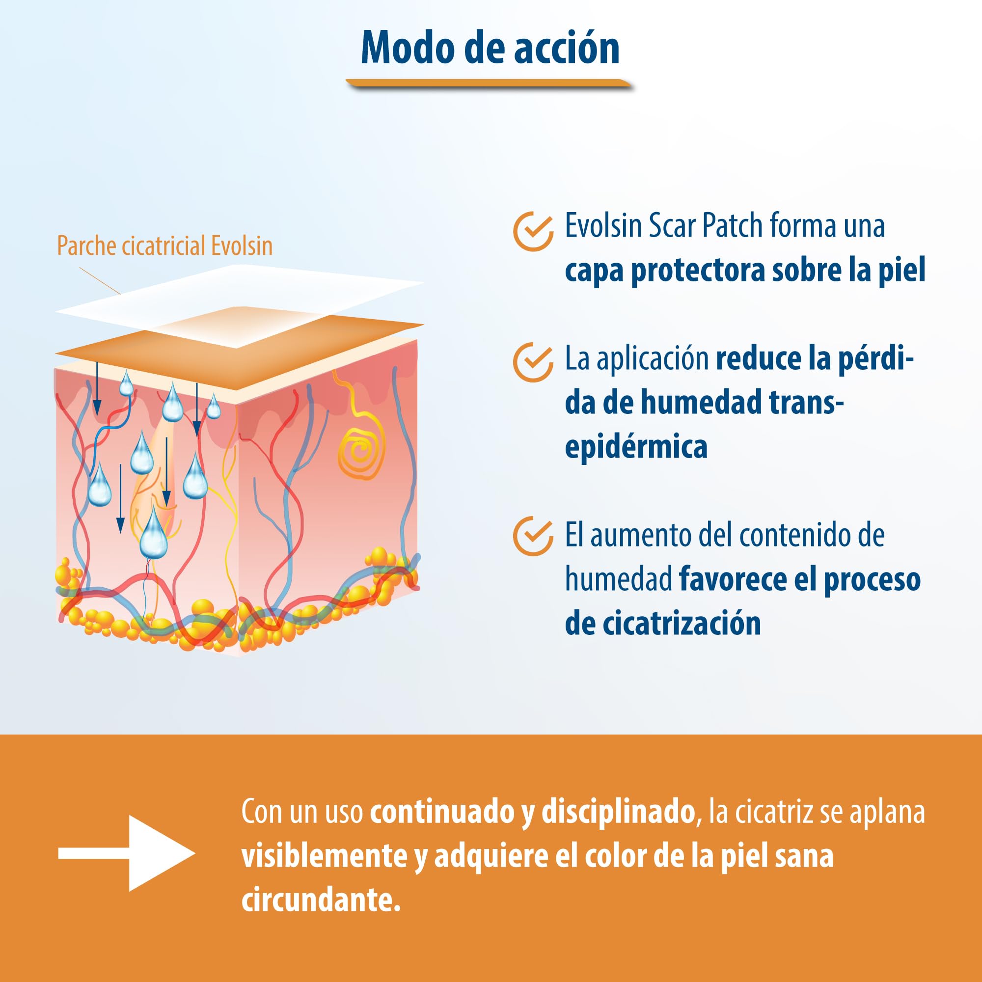 Evolsin parches cicatrizantes silicon scar sheets para cicatrices