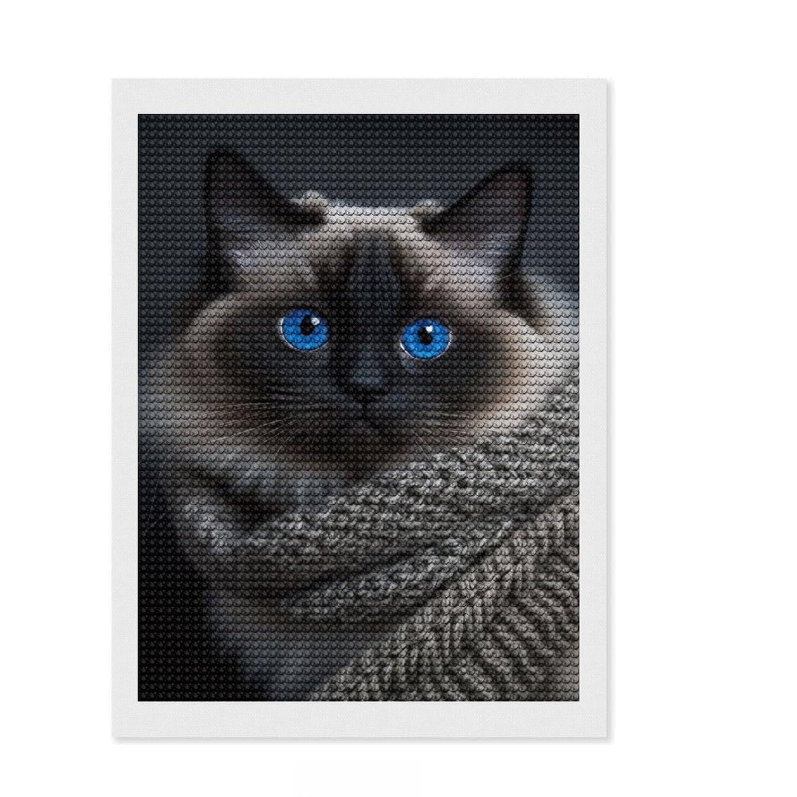 Junmoney The Birman Diamond Painting Kit 12"x16", Neat Printed Canvas, Sparkling Round Gems, Fun Craft Experience, Office Decor