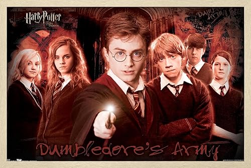 Vista 45 de Trends International Harry Potter y la Orden del Fénix - Póster de pared grupal, 22.4 pulgadas de largo x 14.7 pulgadas, versión premium sin marco