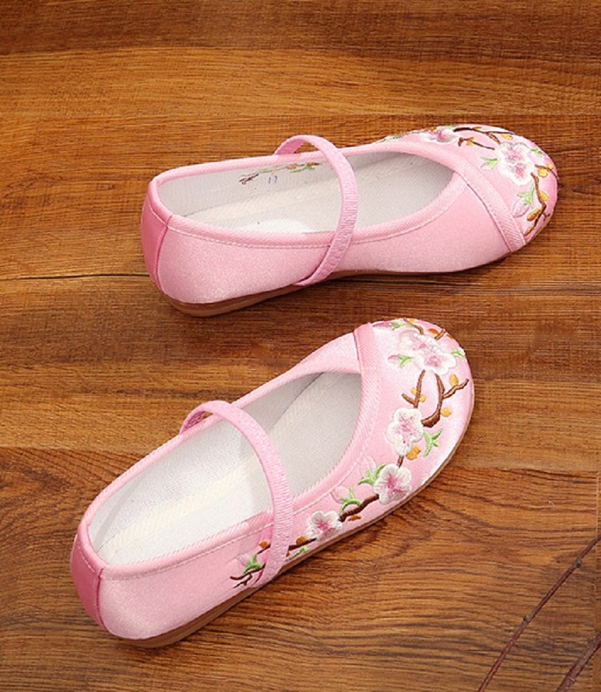 Tianrui Crown Girl's Embroidery Mary-Jane Shoes Kid's Cute Flat Shoe Pink