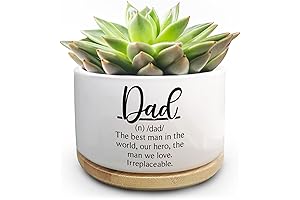 Succulent Plant Pots: The Perfect Gift for Plant Dads