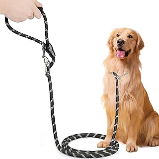 Unverschämt robuste Hundeleine für große und mittelgroße Hunde (15-60 kg) - 3m Verstellbare Doppelleine & Freihandleine aus Nylon mit Reflektierend Tragfähigkeit bis zu 200 kg product image