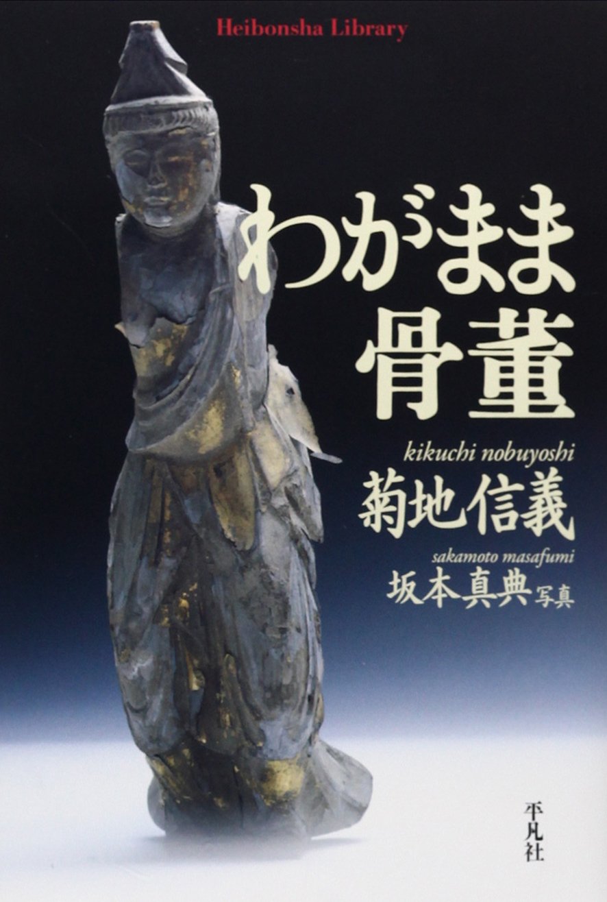 わがまま骨董 (平凡社ライブラリー) | 菊地信義, 坂本真典 |本 | 通販