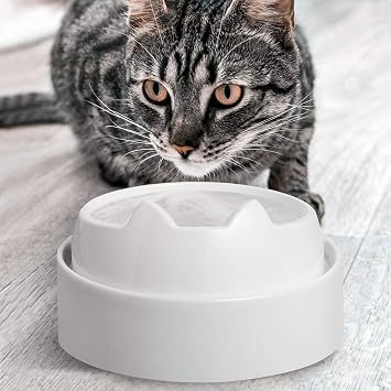 CatGuru Cat Bowls, Whisker-Friendly Cat Water Bowl, Encourages Drinking