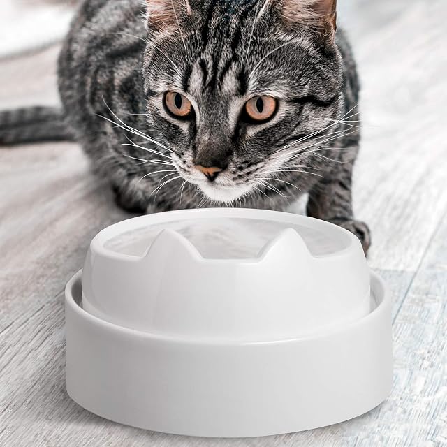 Foto 7 de 8 de CatGuru Mesa de Comida para Cuenco para Gatos, estación de alimentación Antideslizante para Mascotas