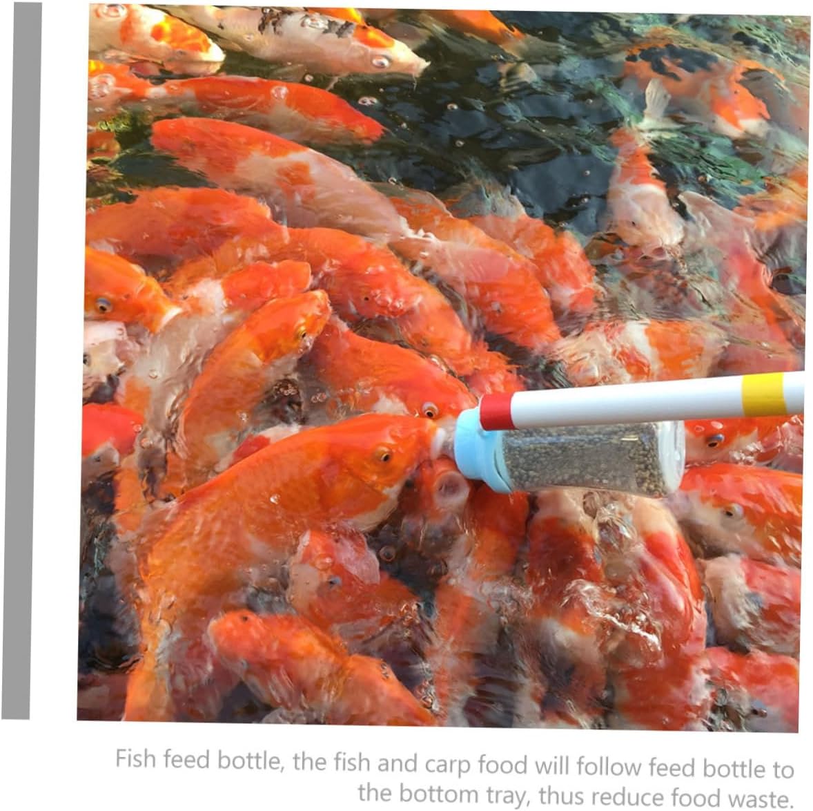 SUPVOX 2pcs Fish Food Feeder Bottle Pole Aquarium Carp Feeder for Feeding Design for Betta
