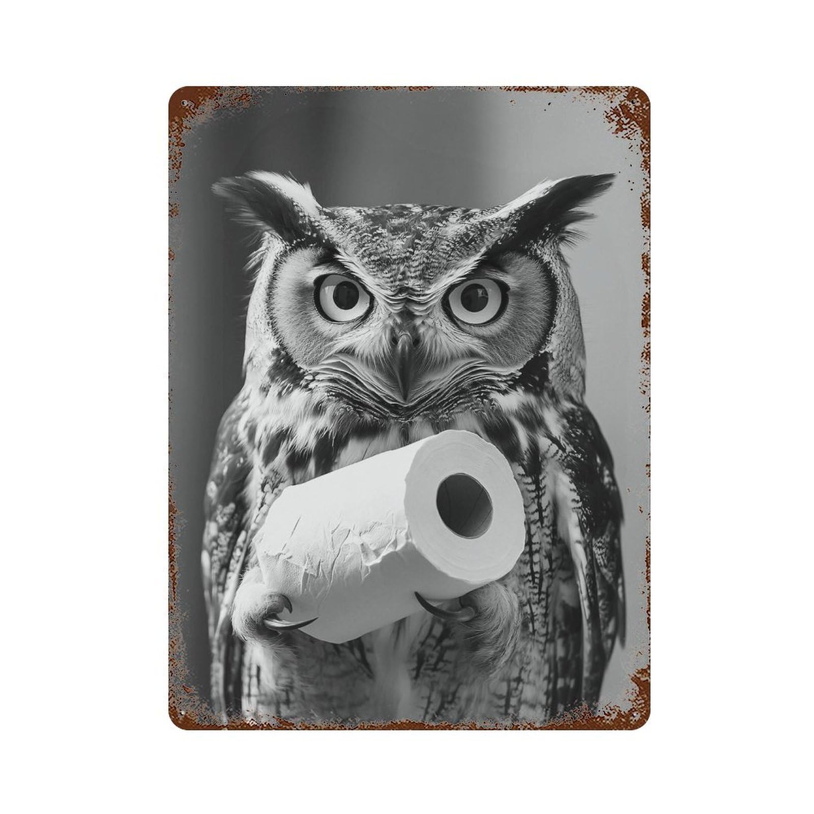 xiaoxiaoshen Owl Wall Art, Photography Prints Wall Decor Art Metal Tin Poster Modern Home Decor Art Home Bar Shop Decorations Vintage Sign 40x30cm