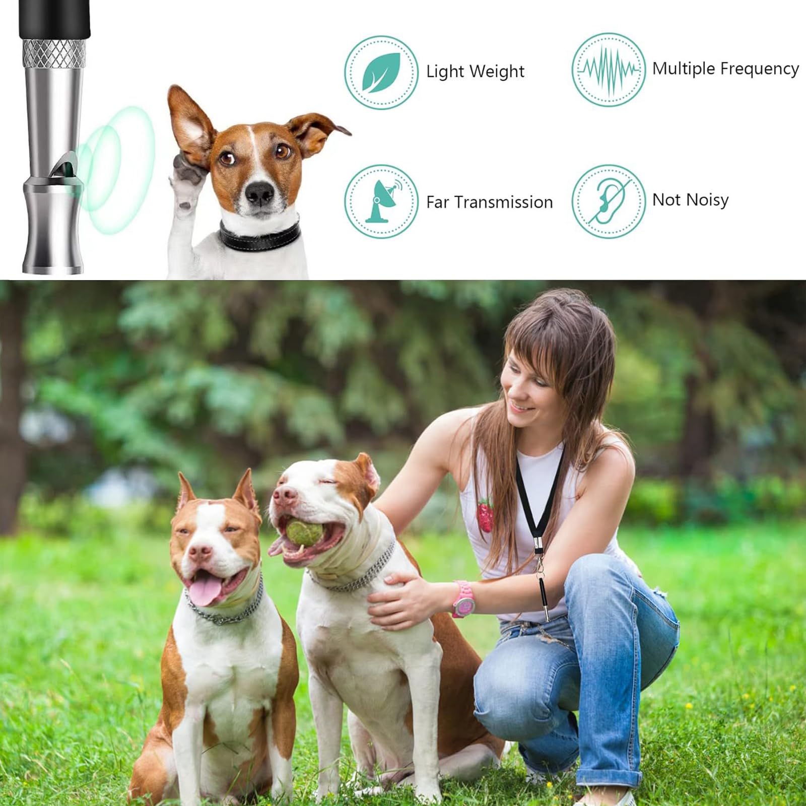 Sifflet Ultrason Chien, Sifflet Chien Rappel, Sifflet Chien avec 2 Longes, Sifflet Ultrason Chien Anti Aboiement, Fort et Longue Portée, Sifflet pour Dressage de Chien (Noir, Blanc)