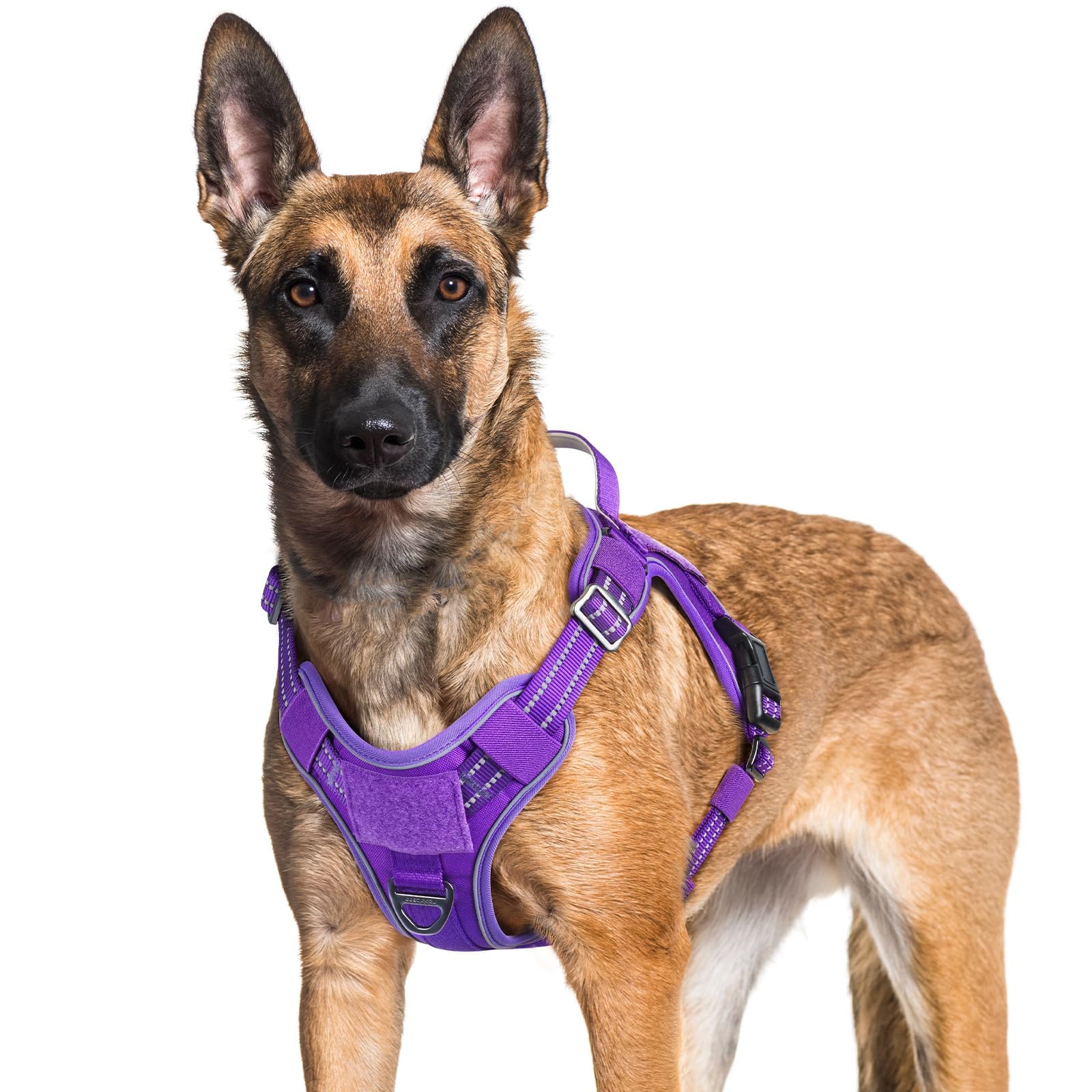 rabbitgoo Dog Harness for Large Dogs No Pull, Tactical Service Pet Vest with Molle and Control Handle, Adjustable and Reflective Military Harness for Easy Walking and Training, Purple, XL