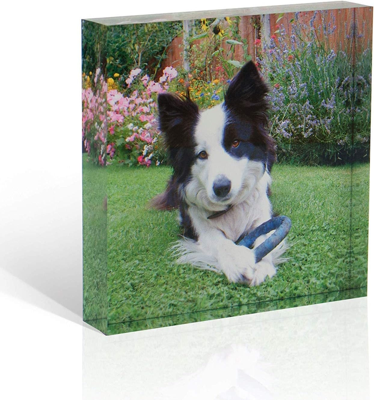 iCaseDesigner Personalised Acrylic Photo Block. Your Image Printed onto Solid Acrylic. Great for Collages, Weddings, Portraits, Awards, Artwork, Baby Scans (Square Photo Block (6x6))