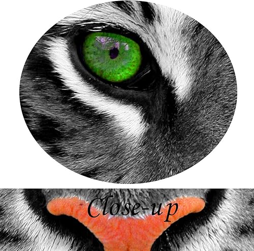 Miniatura 5 de KREATIVE ARTS Lienzo grande de 3 piezas de impresiones de arte de pared, póster de tigre de ojos verdes, impreso en lienzo, cuadros de animales,