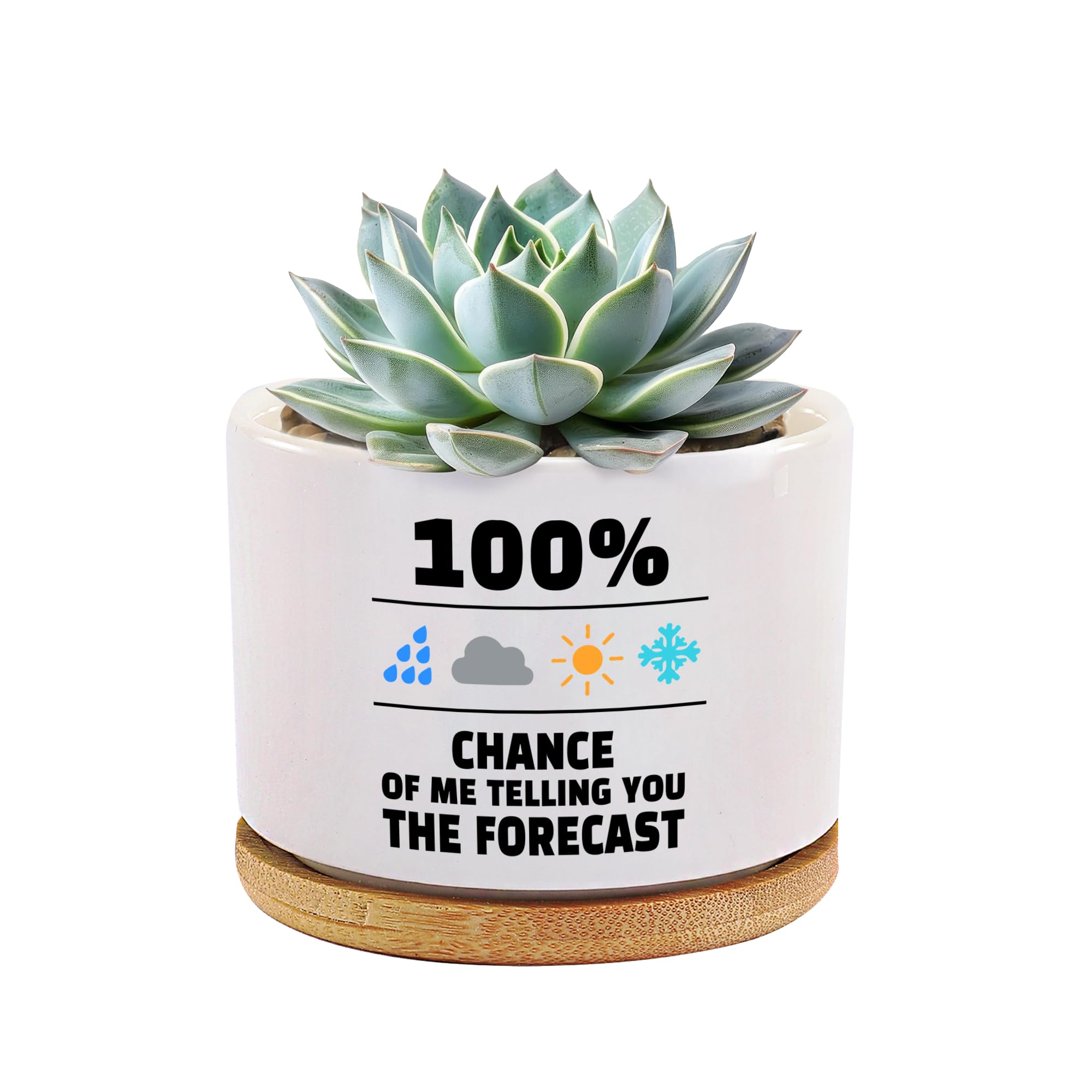 100 Percent Chance of Me Telling You The Forecast Meteorologist Gifts Weatherman Meteorology Weather Ceramic Succulent Plant Pot with Bamboo Tray Home Office Decor 3.5 Inch White (No Plants)