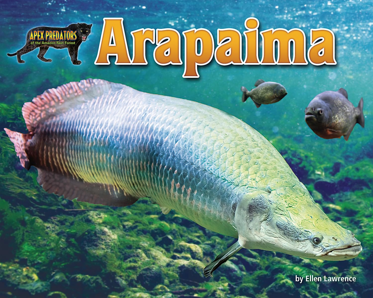 Arapaima Paperback – 1 January 2020