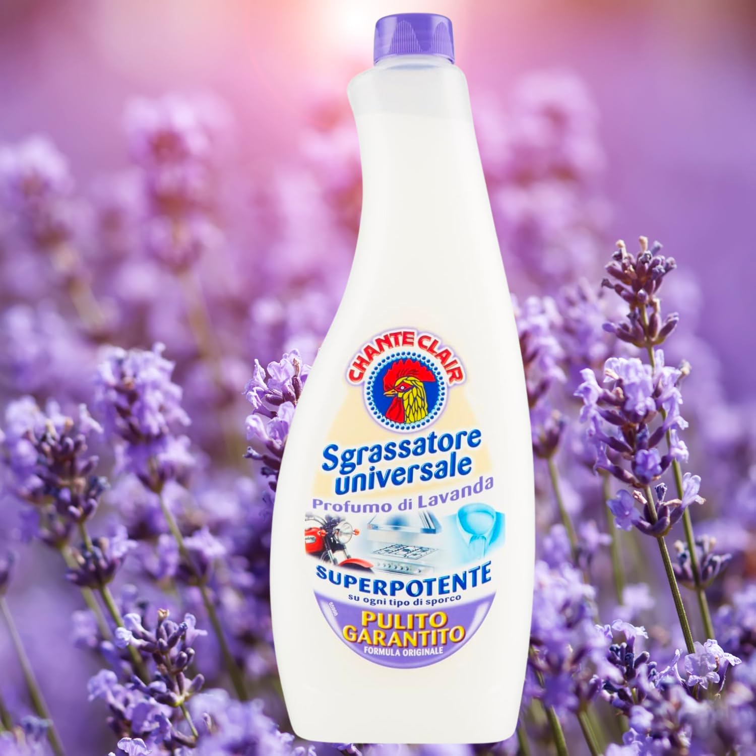 Ricarica Sgrassatore Universale al Profumo di Lavanda – 600 ml – Pulizia Efficace e Freschezza Rilassante kit con Spugna Brandizzata SPESA & RISPARMIO Inclusa – Variazioni 4/8/12 Pezzi (12)