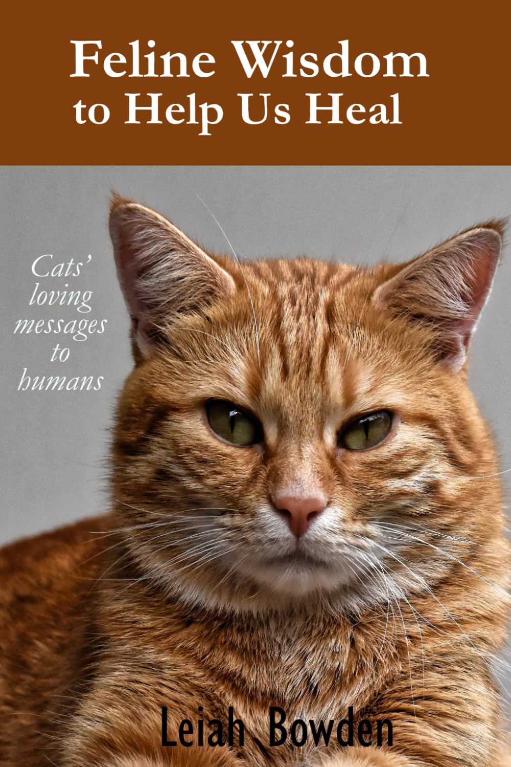 Feline Wisdom to Help Us Heal: cats’ loving messages to humans