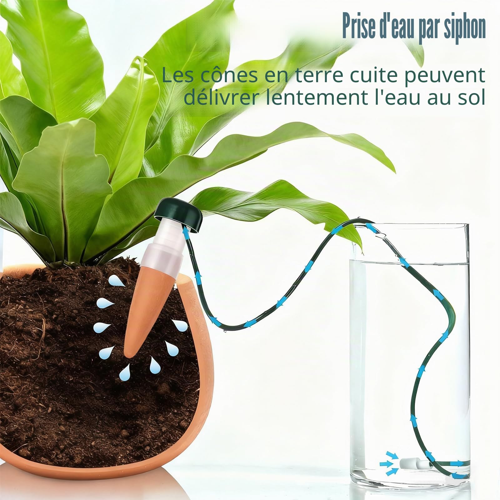 Irrigation des Plantes,Cône d'argile pour Arrosage des Fleurs, Gadgets de Jardinage pour Plantes en Pot,Balcon et Plantes d'intérieur(10 Pcs)