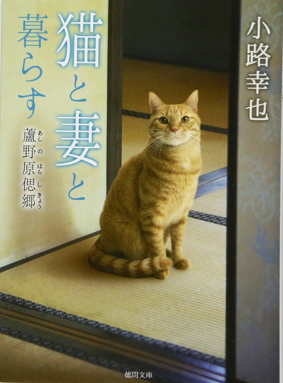 Amazon.co.jp: 猫と妻と暮らす: 蘆野原偲郷 (徳間文庫 し 36-2) : 小路