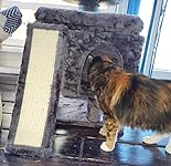 Review Image by Beth Wright Beth Wright