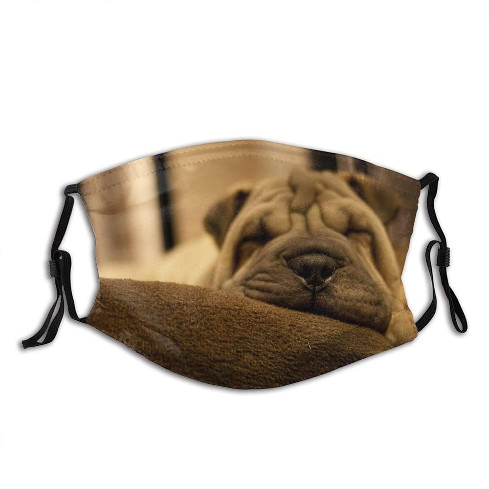 20 Best Gifts for a Shar Pei Owner - iHeartDogs.com 25 71IGuQ1WQFL. SL1000