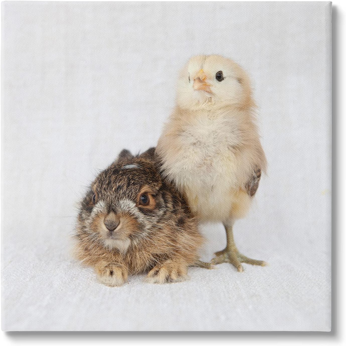 Stupell Industries Baby Animals Chick Bunny Duo Portrait Photography, Design by Tania Soderman