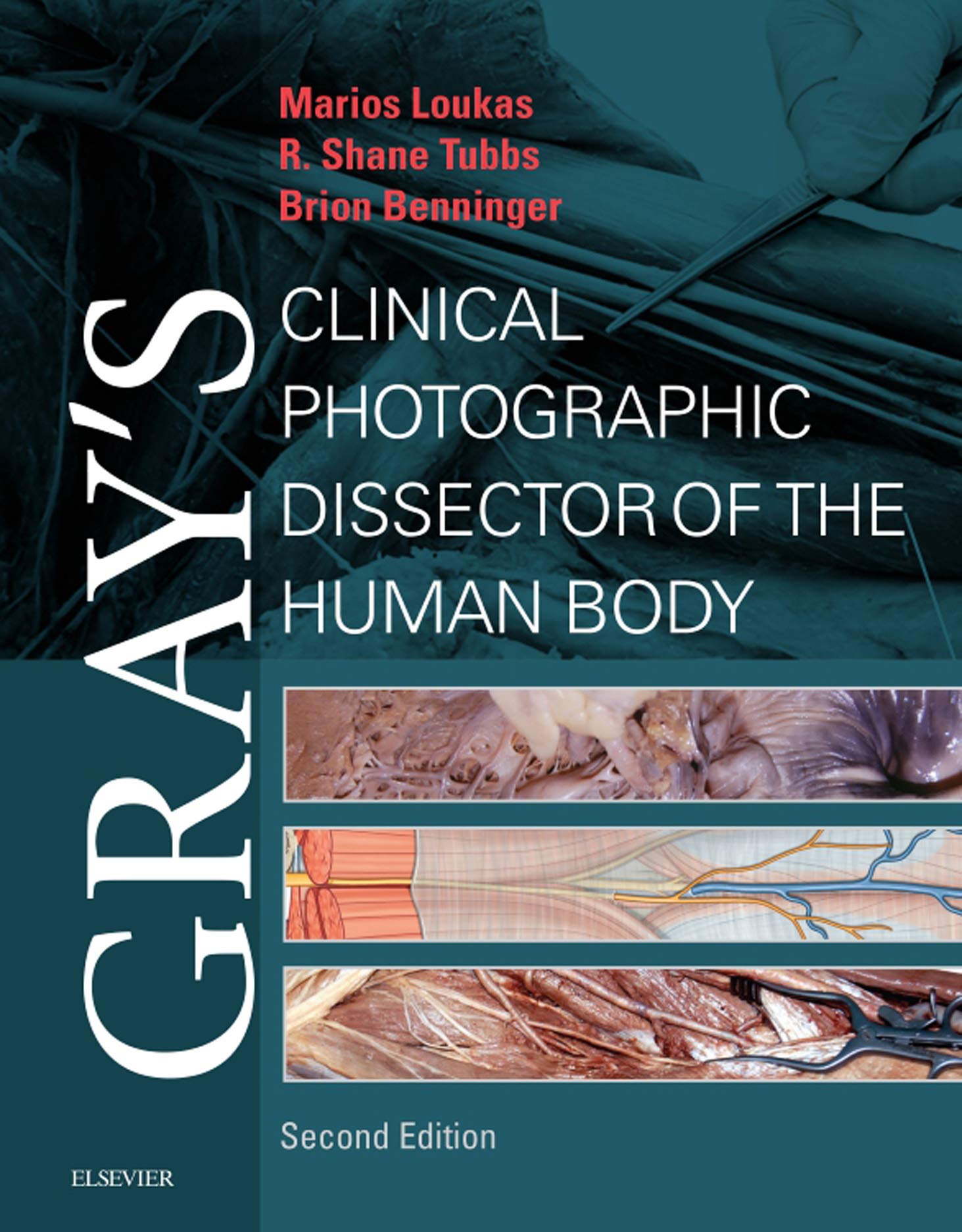 Gray's Clinical Photographic Dissector of the Human Body E-Book (Gray's Anatomy)