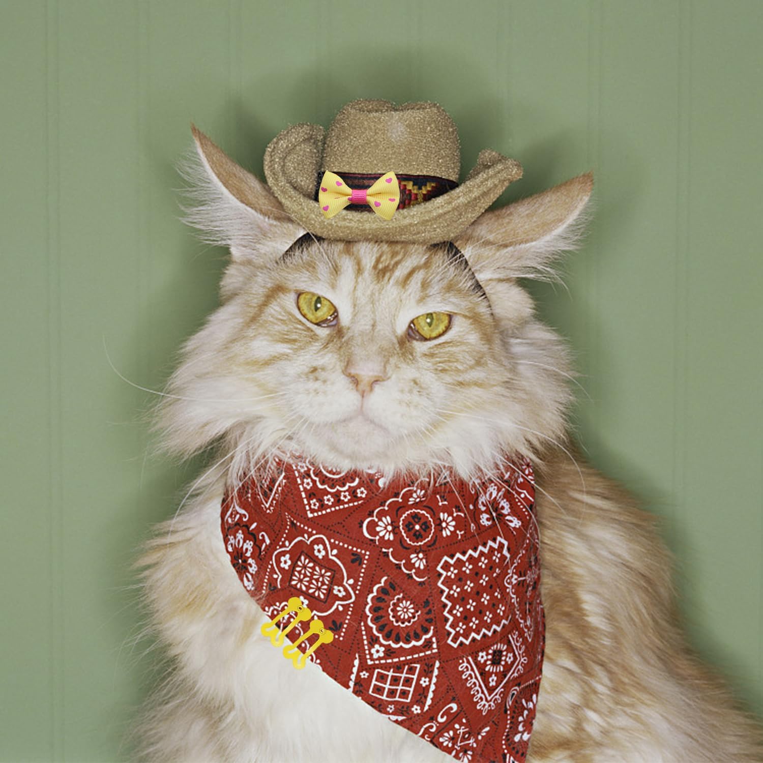 100 Bows, 10 Bone Hair Accessories, Dog Flies, Dog Hair Bows, Dog Grooming Accessories, Dog Collar Bows 5