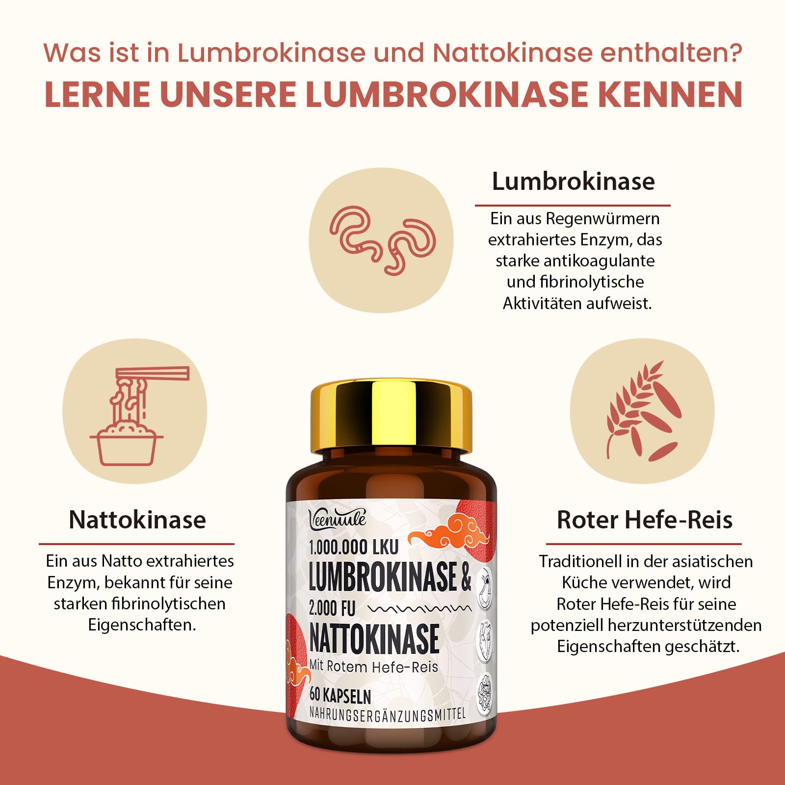 Lumbrokinase 100 mg Par Portion (1 000 000 LKU) avec Nattokinase 100 mg (2 000 FU), Sans OGM, Sans Gluten, 120 Gélules