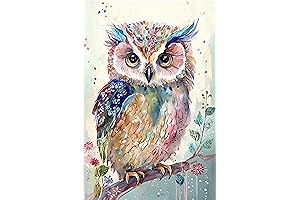 Decorate Your Home with Vintage Charm: Our Exquisite Watercolor Owl Metal Wall Art