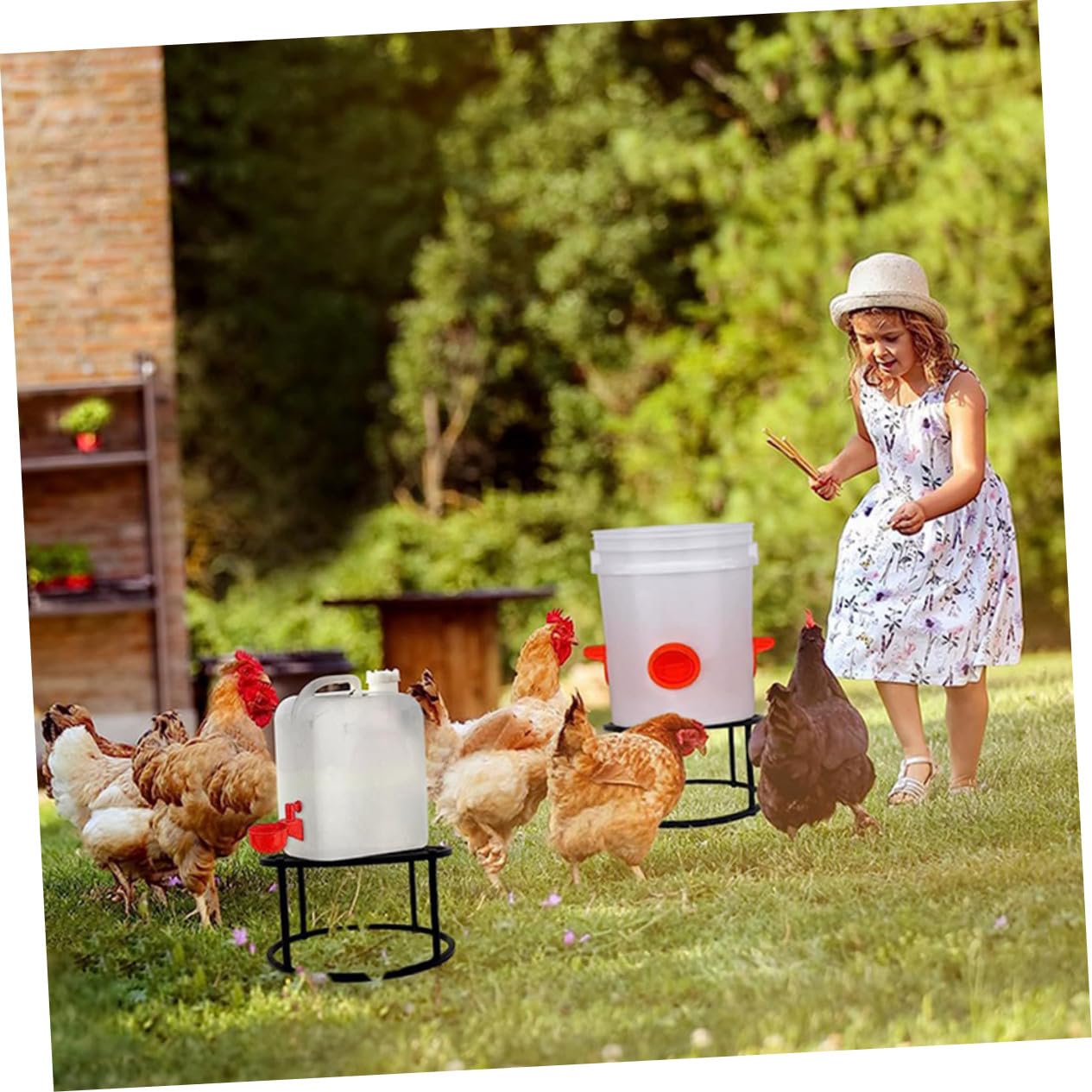 Abaodam Supporto per Mangiatoia e Porta Abbeveratoio in Metallo Resistente da 2 Pezzi per Pollaio, Telaio Stabile Struttura a 4 Gambe, Adatto per Alimentazione e Abbeveraggio Polli