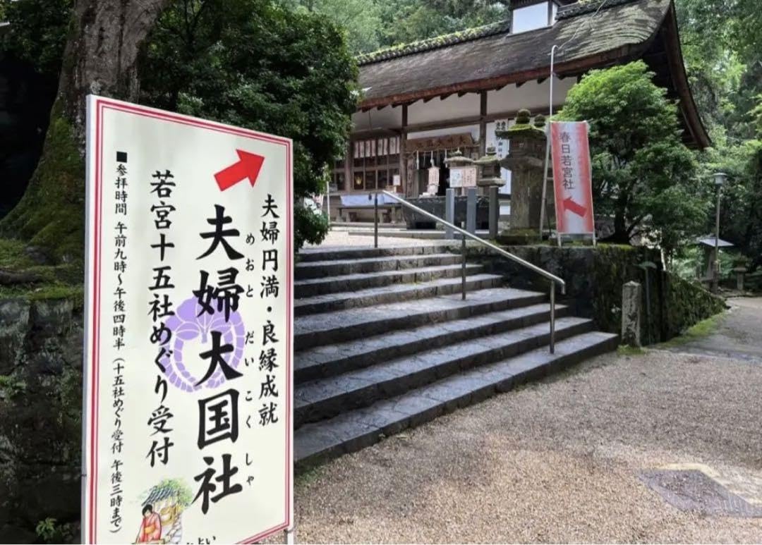 Amazon.co.jp: 春日大社境内／金龍神社／古来／人気／お守り／ 金龍守