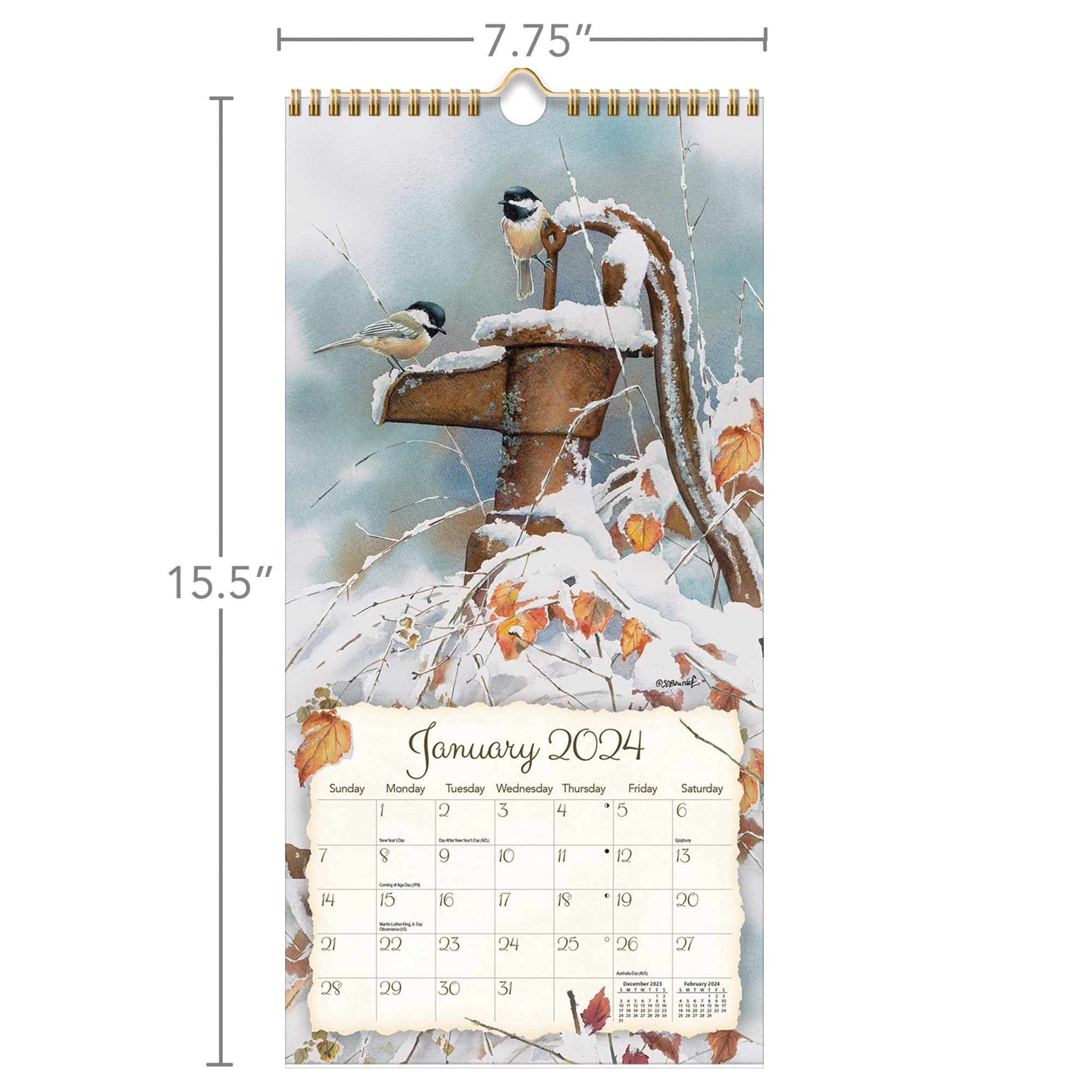 Lang Companies Songbirds Vertical 2024 Wall Calendar