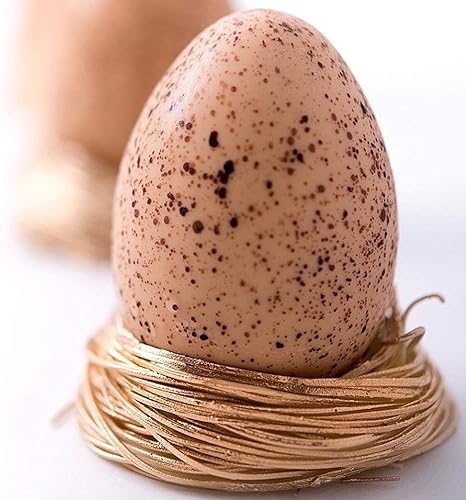 Vista 211 de OCPO KITCHEN Molde de silicona para hornear pasteles de mousse, dulces, pasteles, chocolate, magdalenas, gelatina, galletas, pudín, molde