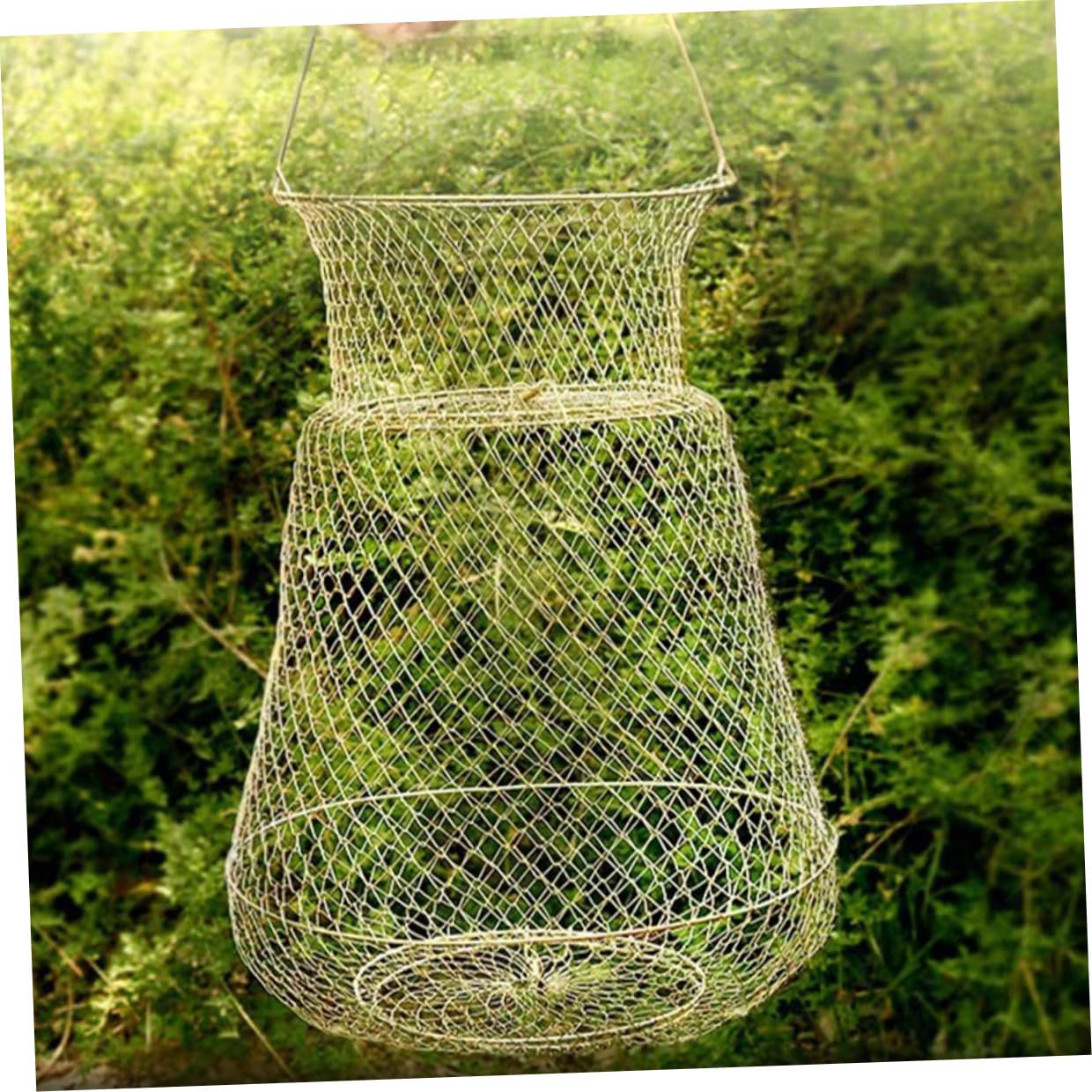 Hohopeti Gabbia Protettiva per Pesci in Ferro Resistente Cesto per Pesca Portatile Rete Robusta per Mantenere i Pesci Vivi Accessorio Pesca Facile da Usare