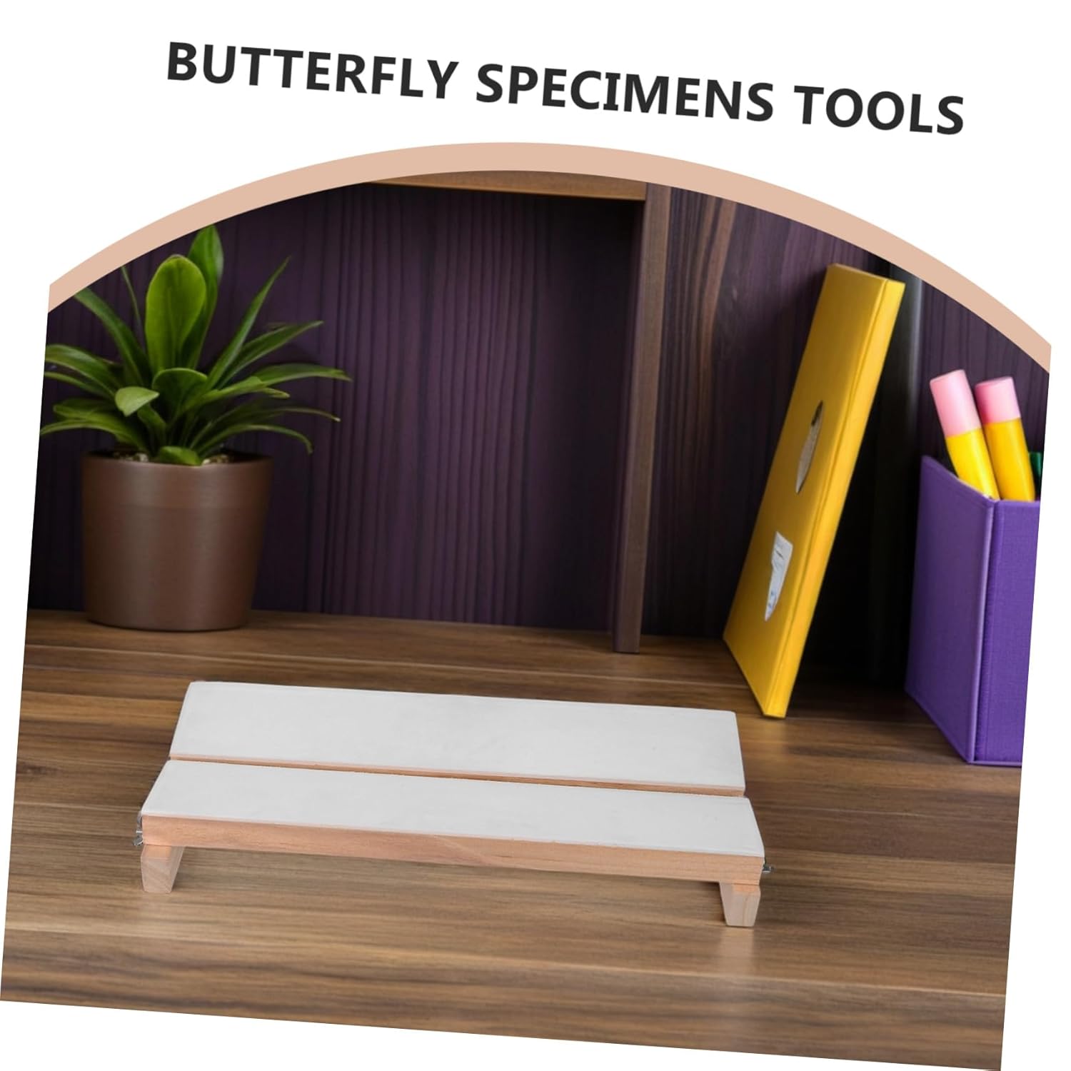 Adjustable Butterfly Specimen Spreading Board for Science Education, Insect Pinning and Display Tool with Butterfly Wing Mounting, Experimental Specimen Making Board for Entomology
