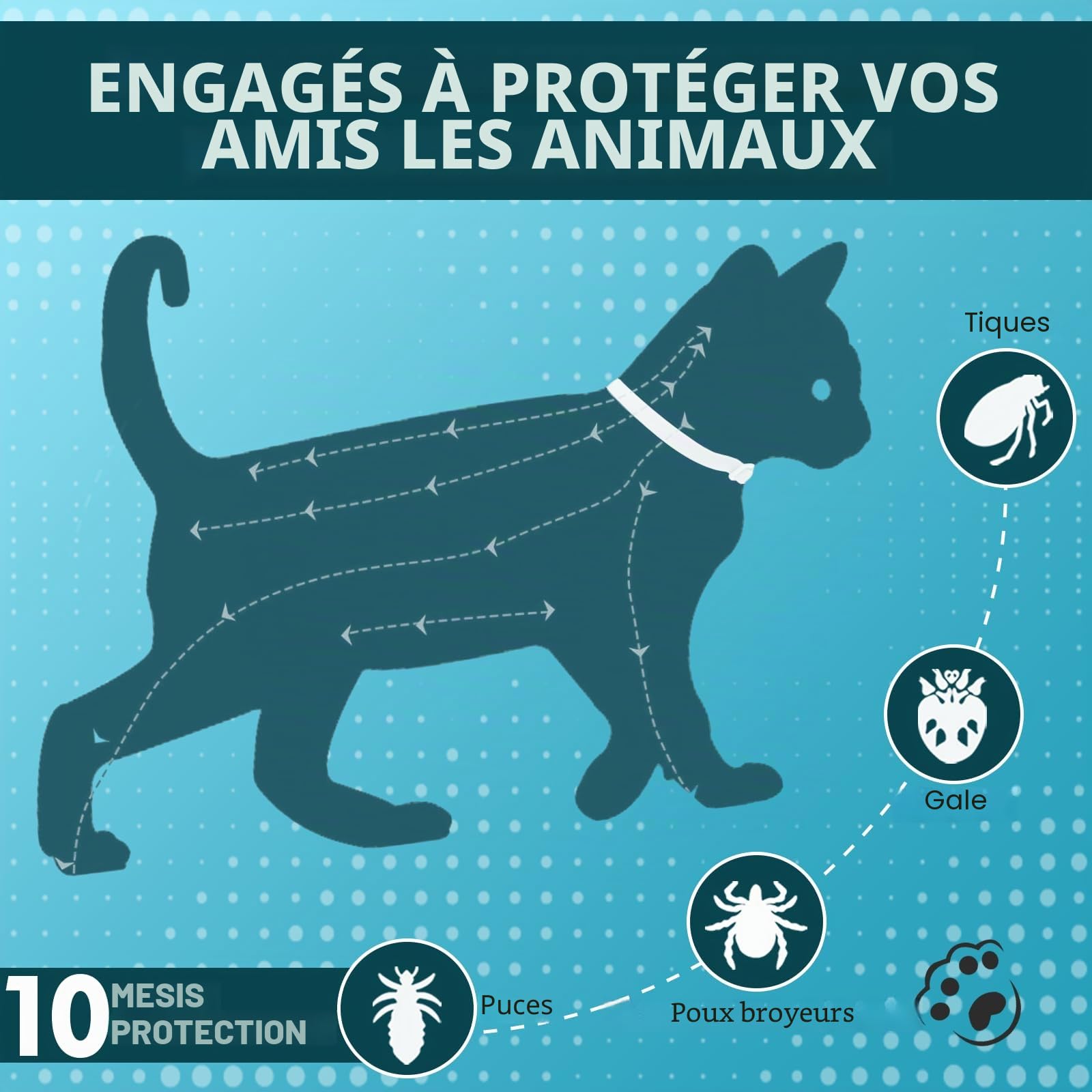 Collier de Puce pour Chats, Collier Anti Puces pour Chat avec Une Protection Efficace de 10 Mois, Traitement aux Puces Chat, Imperméable, Réglable, pour Les Chatons de Gros Chats (4 Pack)