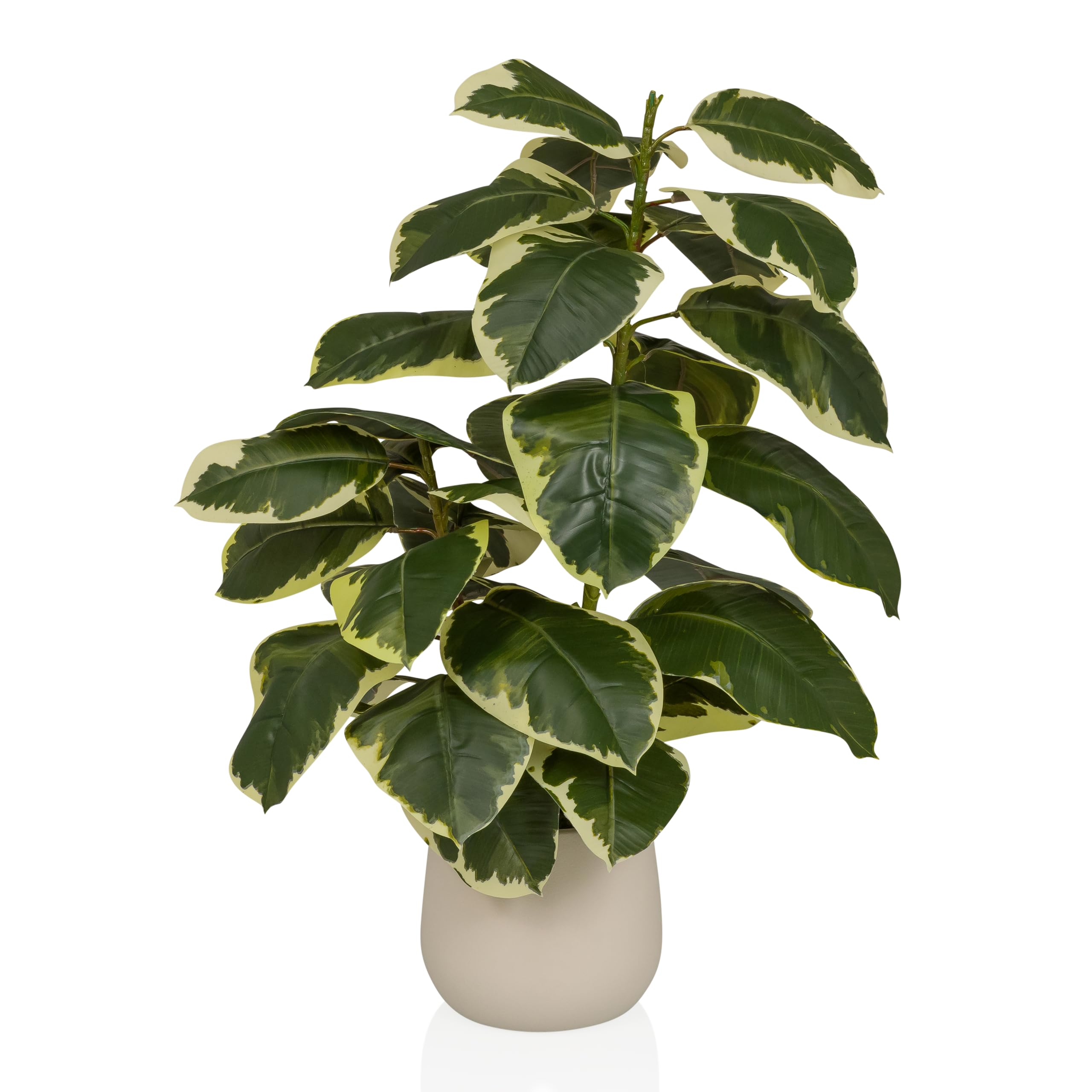 hjh OFFICE Plante artificielle Ficus 3 - Plante artificielle à feuilles persistantes d'environ 85 cm - Mélange de plastique de qualité supérieure - Facile d'entretien et sans odeur